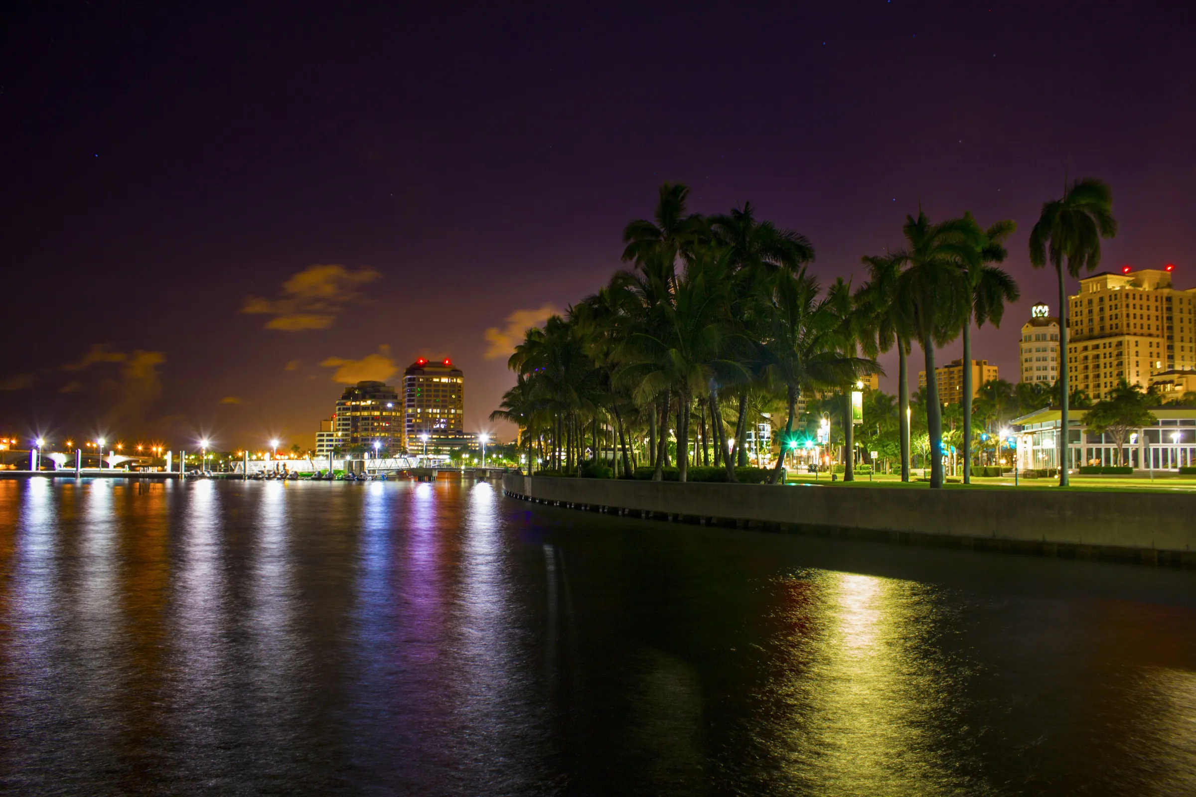 Palm trees lit at night on a waterfront, under a violet sky